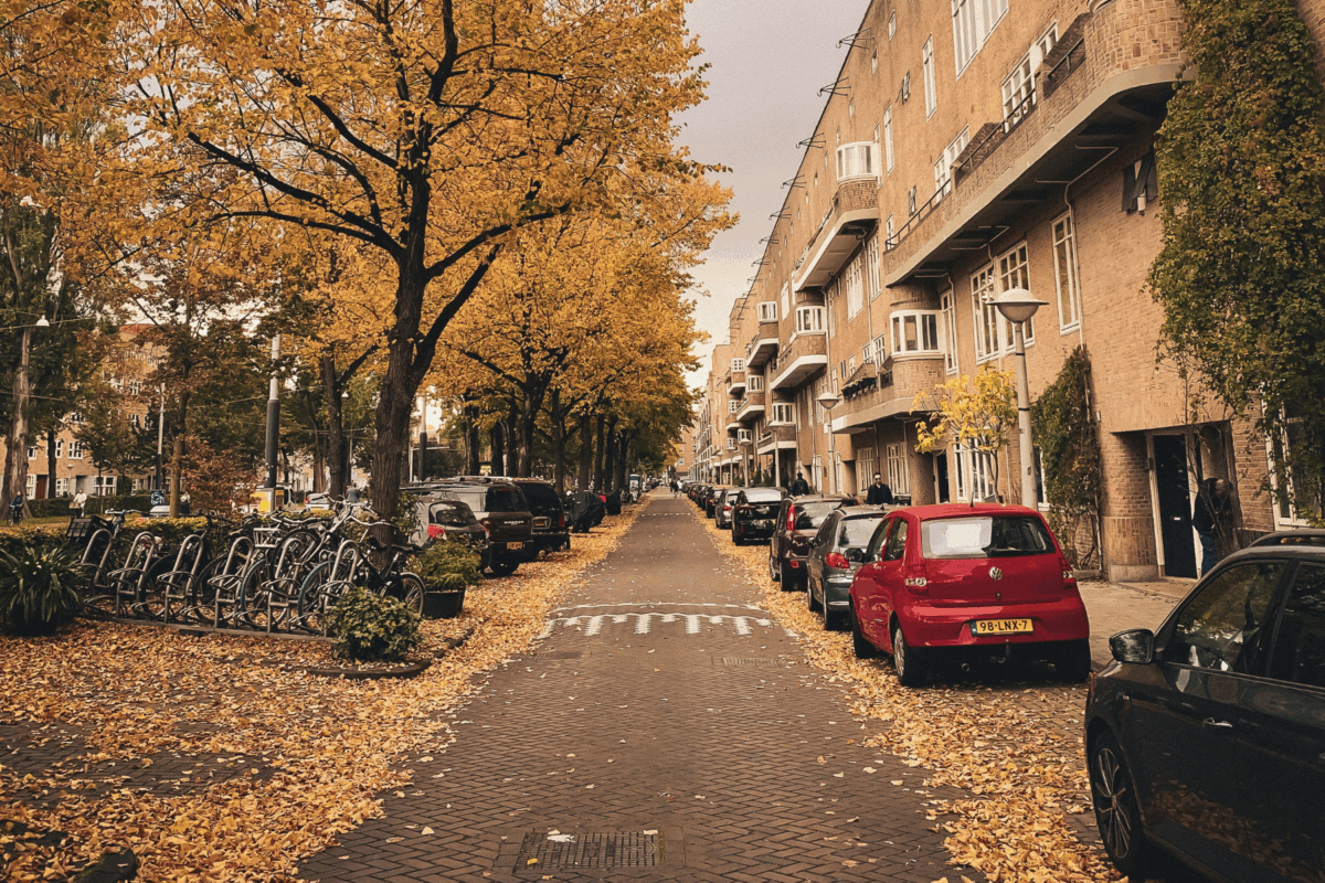 Is it Worth it For a Family Trip?