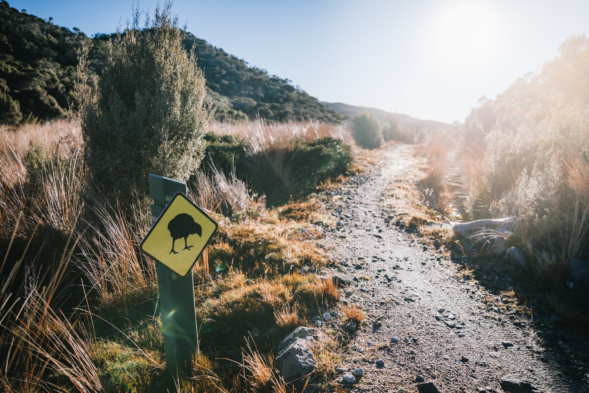 The Heaphy Track